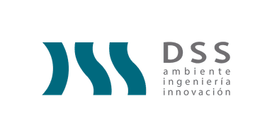 Logo de DSS S.A.