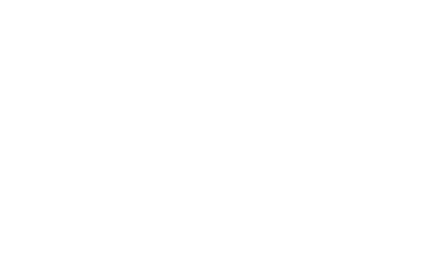 Logo de Ritter SPA