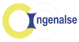 Logo de Ingenalse
