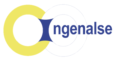 Logo de Ingenalse