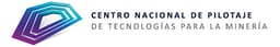 Logo de Centro Nacional de Pilotaje