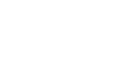 Logo de Indimin SpA