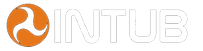 Logo de INTUB SpA