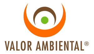 Logo de Valor Ambiental, Servicios de Gestión Ambiental SpA